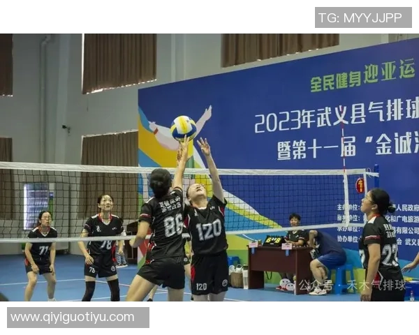 探索成都排球队的力量与魅力揭秘排球巨献背后的故事与精神